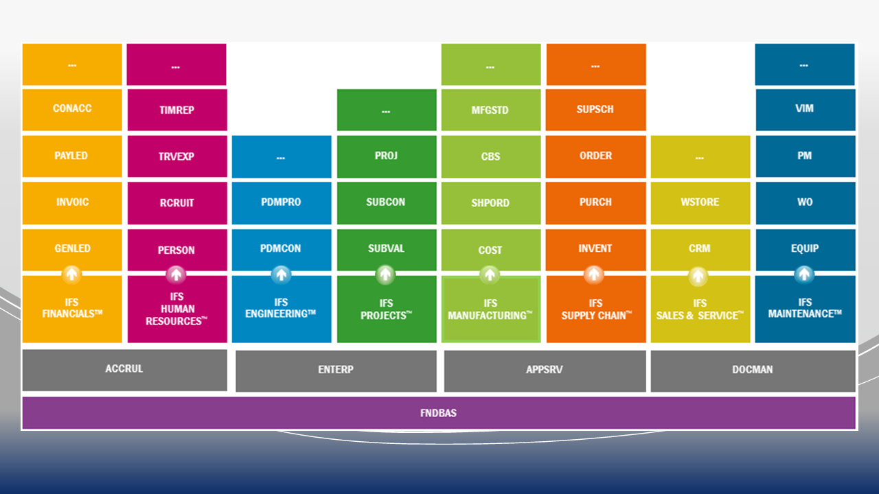 IFS Implementation and Support Services